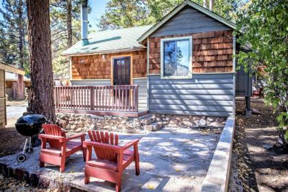 Shore Acres Lodge-452 by Big Bear Vacations - image 1