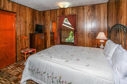 Abe's Amazing Cabin-1421 by Big Bear Vacations - image 2