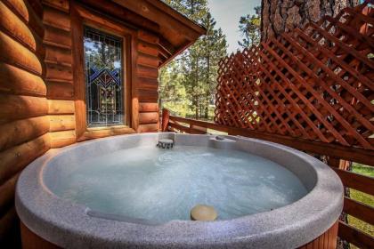 Forest Treehouse-1473 by Big Bear Vacations - image 1