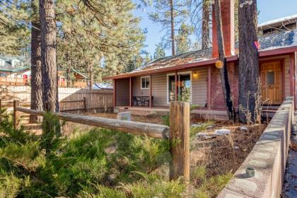 tranquil Forest Big Bear Lake California