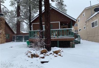 Cozy Pines Retreat - image 16