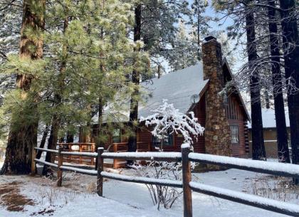 Rustic Pine Big Bear Lake California