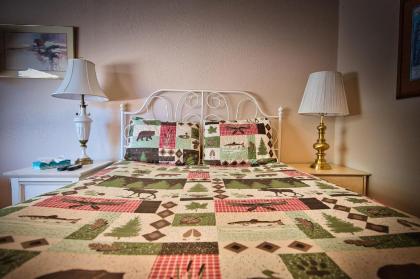 Cottages 6 and 7 Black and Kodiak Bear combined Perfect for Family and Friends - image 4