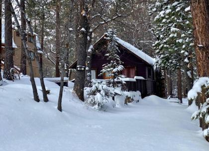 the Cozy Cub Big Bear Lake California