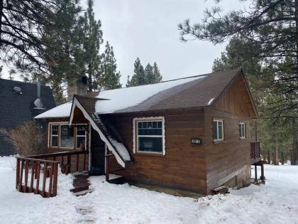 Finch Nest Big Bear Lake California