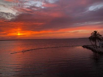 Big Pine Key Bungalow - image 11