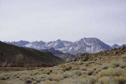 Bristlecone Motel - image 14