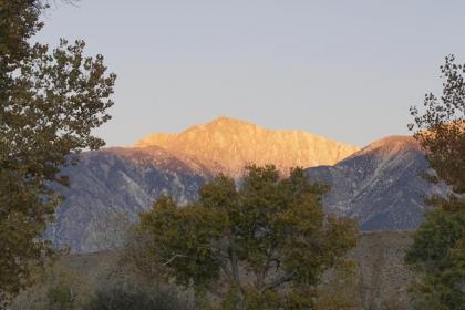 Bristlecone Motel - image 15