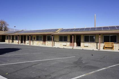 Bristlecone Motel - image 2