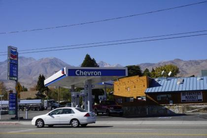 Bristlecone Motel - image 3