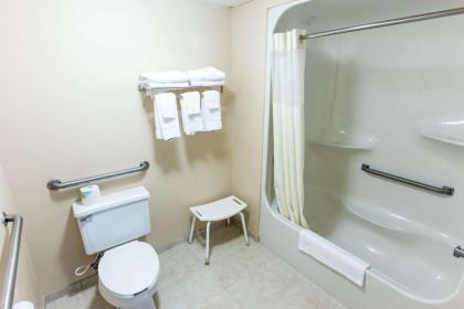 Quality Inn & Suites Big Rapids - image 10