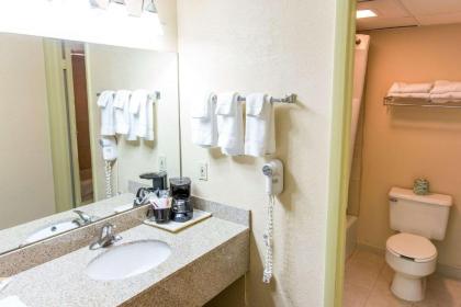 Quality Inn & Suites Big Rapids - image 12