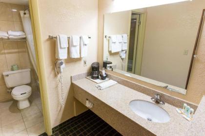 Quality Inn & Suites Big Rapids - image 14