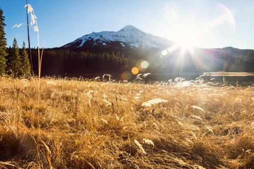 Yellowstone 28B - image 3