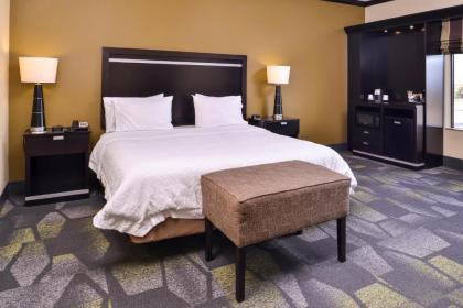 Hampton Inn & Suites Big Spring - image 10