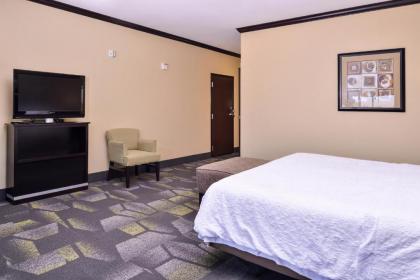 Hampton Inn & Suites Big Spring - image 8