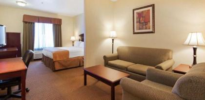 Best Western Palace Inn & Suites - image 9