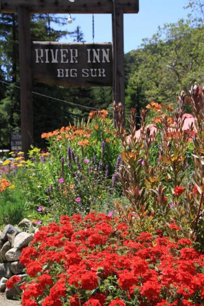 Big Sur River Inn - image 8