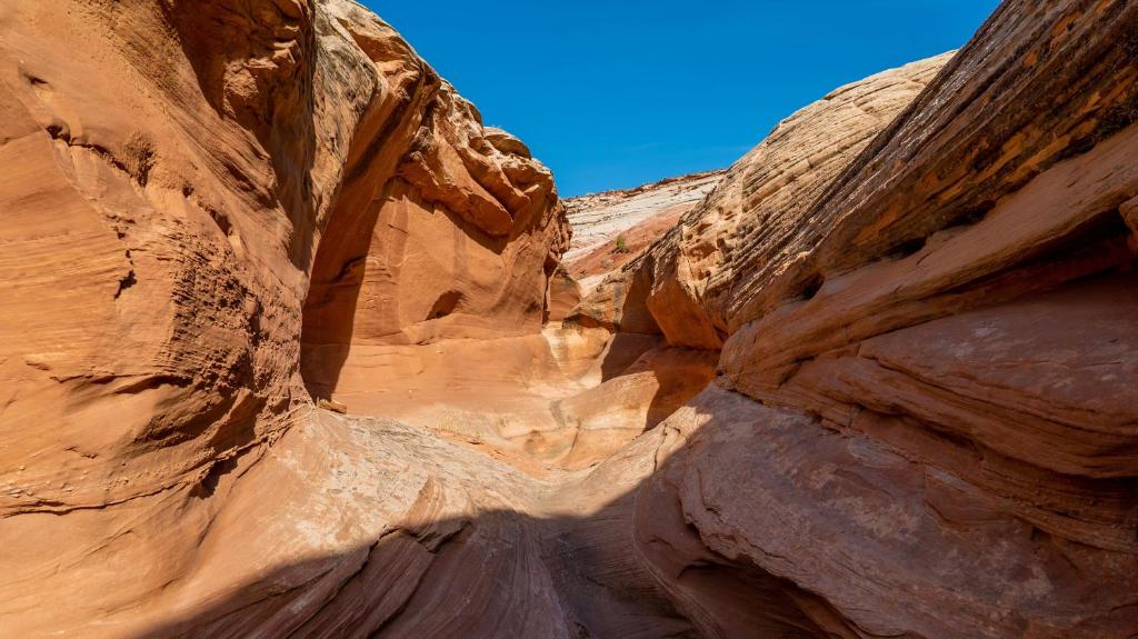 Under Canvas Lake Powell-Grand Staircase - image 6