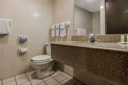 Quality Inn & Suites Binghamton Vestal - image 8