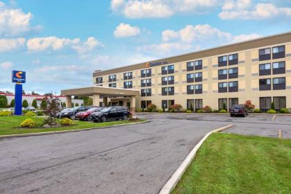 Comfort Inn Binghamton I-81 - image 2