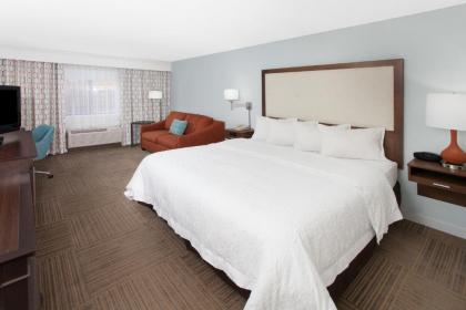 Hampton Inn Birch Run - image 10