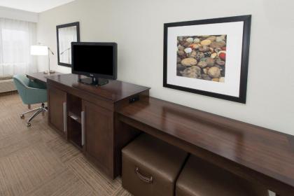 Hampton Inn Birch Run - image 8