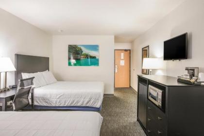 Americas Best Value Inn & Suites-Birch Run - image 12