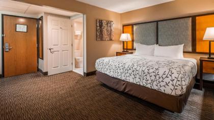 Best Western Plus of Birch Run/Frankenmuth - image 1