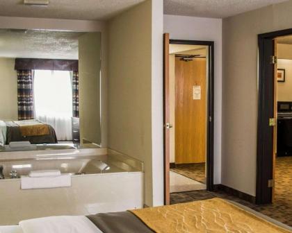 Comfort Inn Birch Run - image 11