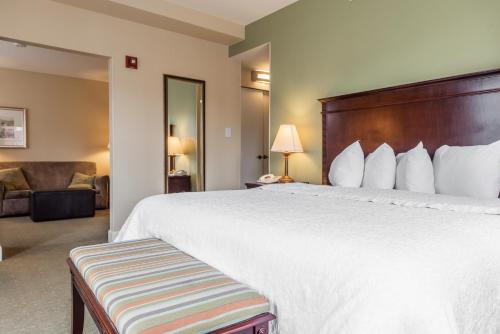 Hampton Inn & Suites Birmingham-Downtown-Tutwiler - image 3