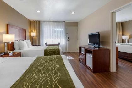 Comfort Inn Bishop - image 13