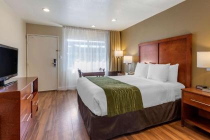 Comfort Inn Bishop - image 9