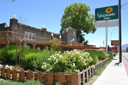 Vagabond Inn Bishop - image 11