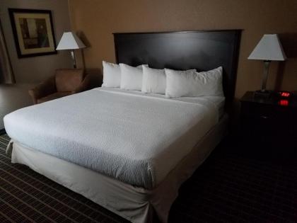 Americas Best Value Inn and Suites Bismarck - image 10