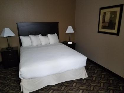 Americas Best Value Inn and Suites Bismarck - image 12