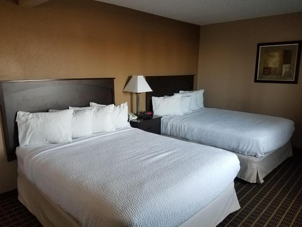 Americas Best Value Inn and Suites Bismarck - image 7