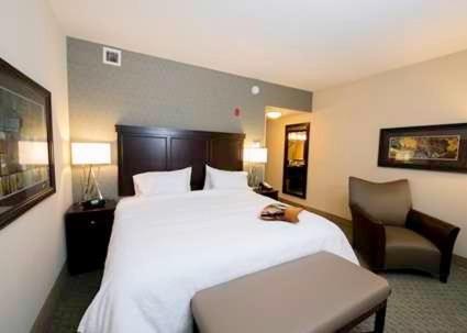 Hampton Inn & Suites Bismarck Northwest - image 7