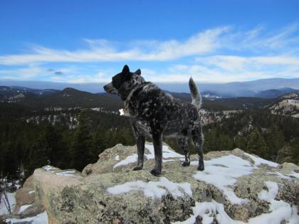 Blue Sky Mountain Ranch - image 2