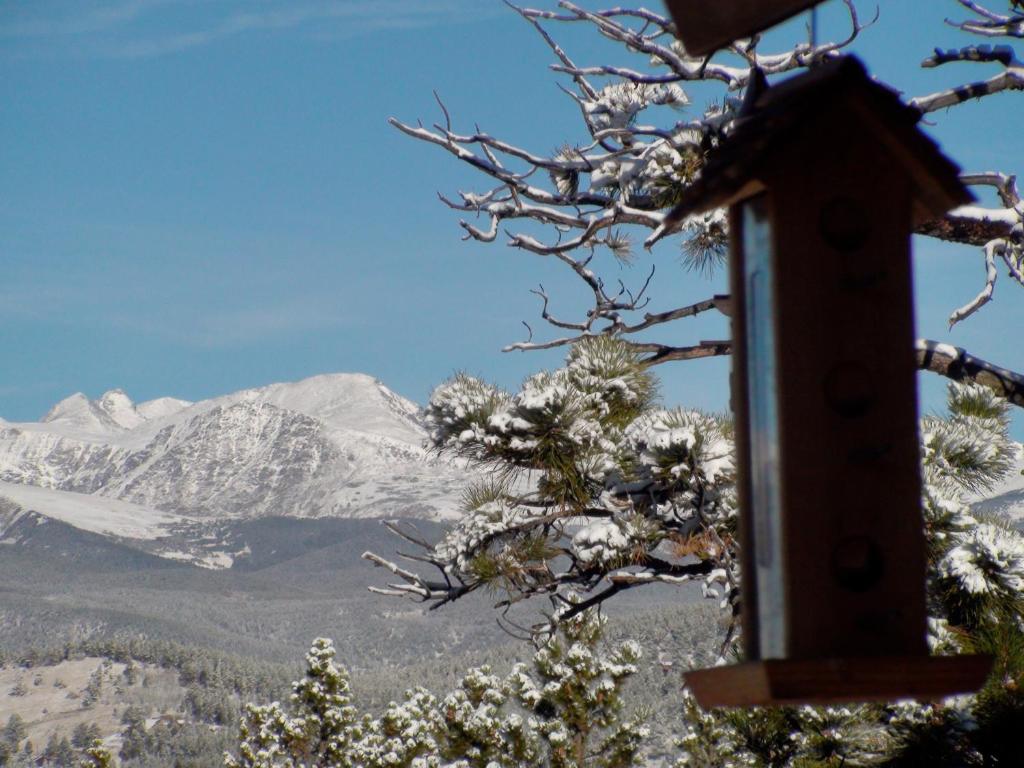 Blue Sky Mountain Ranch - image 6