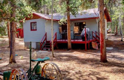 Columbine Cabin