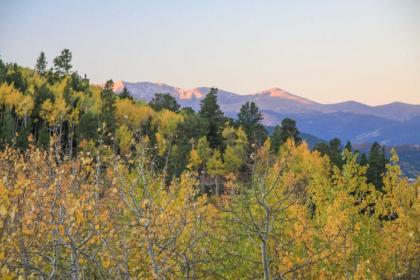 Airy Forest Escape with Mountain View and Hot Tub - image 3