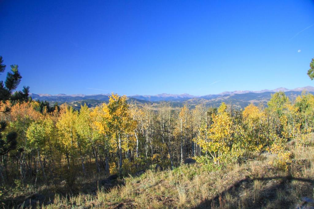 Airy Forest Escape with Mountain View and Hot Tub - image 6