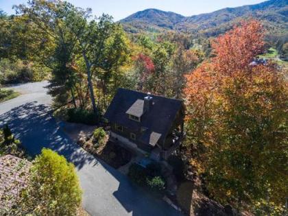 Dogwood Treehouse - image 1