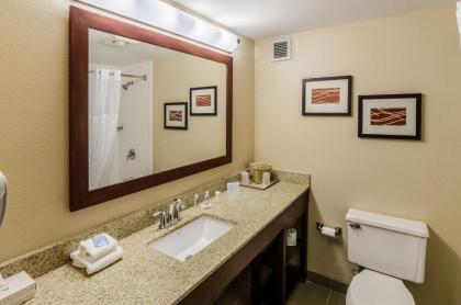 Comfort Inn Blacksburg University Area - image 15