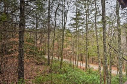 Modern Cabin with Deck in the Blue Ridge Mountains! - image 15