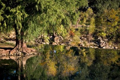 Blanco Riverside Cottages - image 8