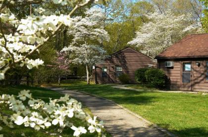 Turkey Run Inn & Cabins - image 13