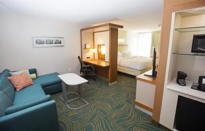 SpringHill Suites by Marriott Bloomington - image 15