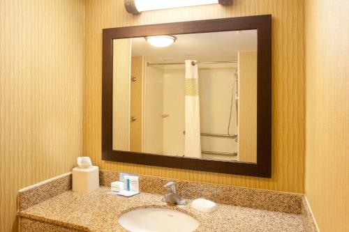 Hampton Inn & Suites Minneapolis St. Paul Airport - Mall of America - image 4